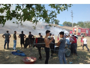 İlçeyi Duman Bulutu Sardı, Vatandaşlar Merakla İzledi