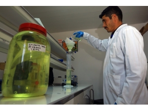 Büyükşehir’den Tıbbi-aromatik Bitki Üreticilerine Distilasyon Hizmeti