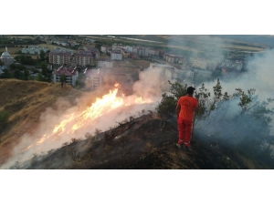 Bingöl’de 5 Dönümlük Alan Yandı