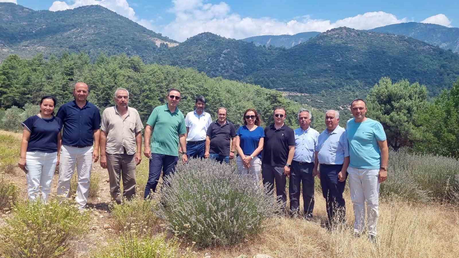 tibbi-ve-aromatik-bitkileri-yerinde-inceleme