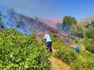 İtfaiyenin Anında Müdahalesi Faciayı Önledi