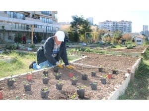 Kent Tarımda 2019 Sonbahar Sezonu İçin Kayıtlar Başladı