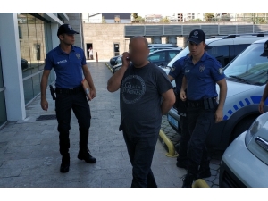 Kavgada Isırdığı Kulağı Kopardı