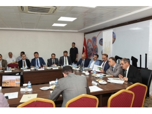 Türkiye’nin En Büyük Ağaçlandırma Kampanyası Başlıyor