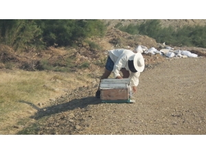 Burhaniye’ De Çalılık Yangını Büyük Korkuya Neden Oldu