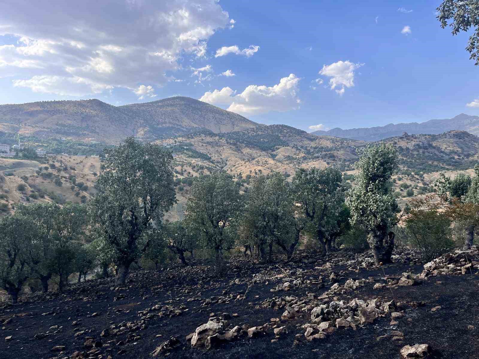 siirt-te-5-ayri-noktada-yangin-alarmi-4-bolgede-sonduruldu-camtasi-nda-mudahale-suruyor