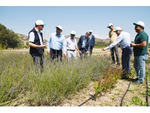 Esogü Rektörü Şenocak’tan Orman Bölge Müdürlüğüne Ziyaret