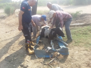 Manisa İtfaiyesi Bir Cana Daha Yaşama Şansı Verdi