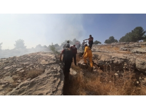 Adıyaman’da Orman Yangını