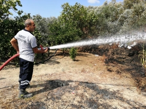 Samandağ’da Bahçe Yangını