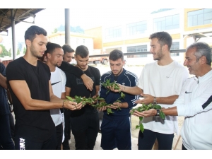 Atmacalar Çayı Yerinde İnceledi