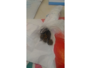 Boyabat’ta Uyuşturucu Operasyonu