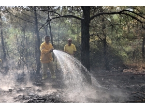 Manisa’daki Orman Yangını