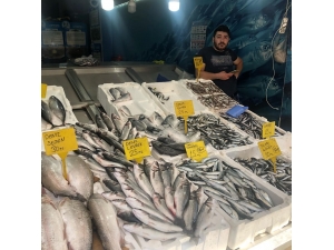 Tezgahlarlar Bu Yıl Şen Değil