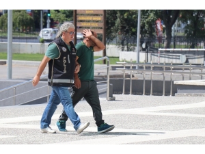 Bolu’da Evinde Uyuşturucu Yetiştiren Şahıs Gözaltına Alındı