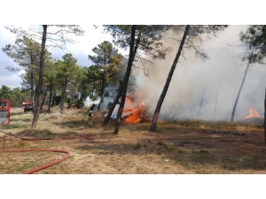 Arnavutköy’de Ormanlık Alanlık Alanda Yangın
