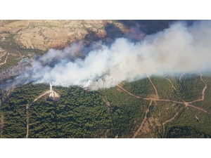 İzmir’deki Orman Yangını Kontrol Altına Alındı