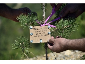 Bu İlçede Her Doğan Bebek İçin Fidan Dikiliyor