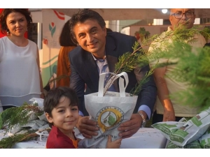 Festivalde 2 Bin Selvi Fidanı Dağıtıldı