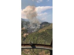 Antalya’da Ormanlık Alanda Yangın