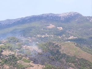 Antalya’daki Orman Yangını Kontrol Altına Alındı