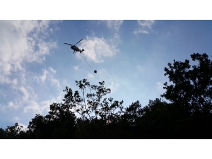 Uludağ’ın Eteklerinde Orman Yangını