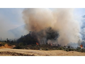 Hatay’da Çıkan Orman Yangını Kontrol Altına Alındı