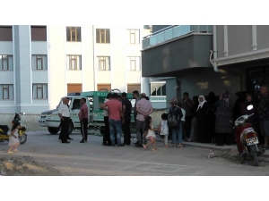 Kalorifer Dairesinde Ölü Bulundu