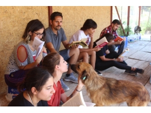 Kampiz Üyeleri Hayvan Barınağında Kitap Okudu