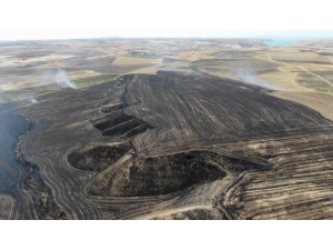 Anız Yangını Bahçelere Sıçradı