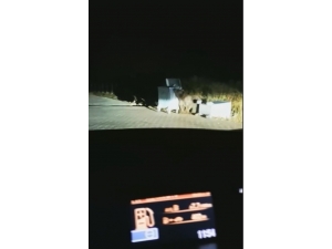 Uludağ’da Aç Kalan Ayı Çöpleri Karıştırırken Görüntülendi.