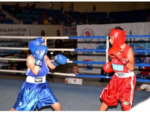 Türkiye Ferdi Boks Şampiyonası Bilecik’te