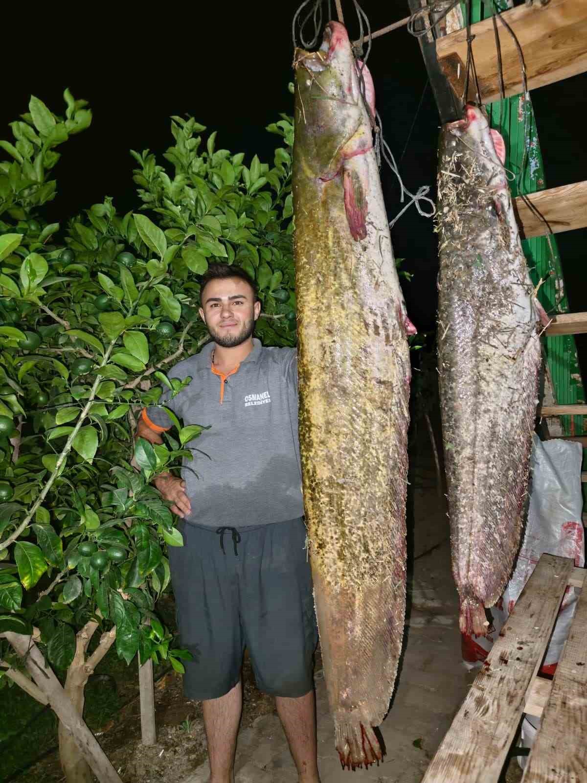sakarya-nehri-nden-34-kiloluk-dev-yayin-cikti