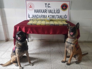 Yüksekova’da 34 Kilo Eroin Ele Geçirildi