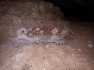 Definecilerin Kurduğu Düzenek İmha Edildi