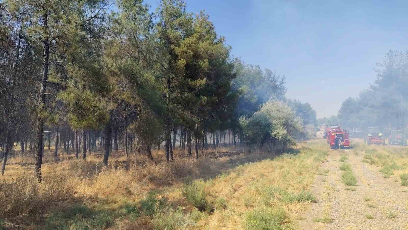 dicle-universitesi-yerleskesinde-ortu-yangini