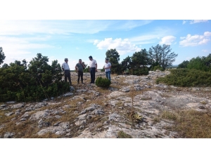 Aslanapa’da Doğalgaz Alt Yapı Çalışmaları