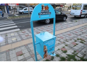 Belediyeden Sokak Hayvanları İçin Anlamlı Proje