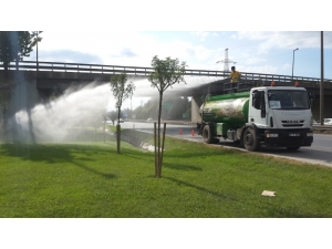 Kocaeli’de Ağaçlar Susuz Kalmıyor