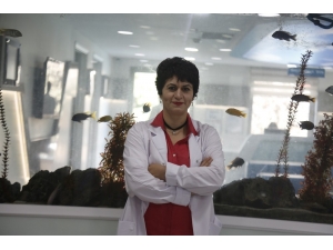 ’Prenses Doğum’ Doğum Sancısını Ortadan Kaldırıyor