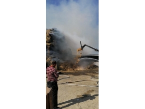 100 Bin Hayvanın Bulunduğu Çiftlikte Yangın