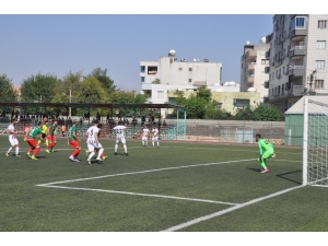 Ziraat Türkiye Kupası