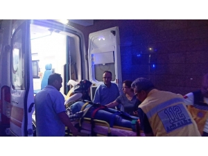 İncir Toplamak İsterken Ağaçtan Düştü