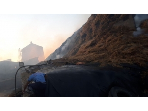 100 Bin Büyükbaş Hayvanın Bulunduğu Besi Çiftliğinde Korkutan Yangın