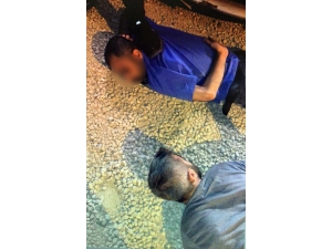 Metropollere Saldırı İçin Gönderilen 2 Terörist Mardin’de Yakalandı