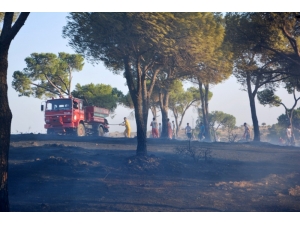 Orman Yangınlarıyla Mücadelede Yeni Dönem