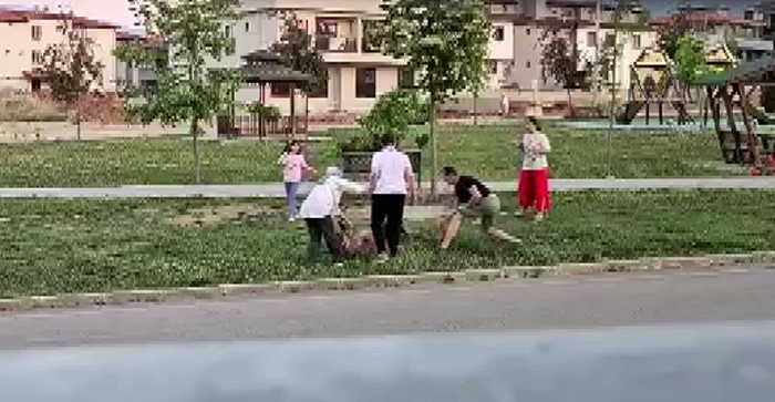 parkta-dolastirilan-kopege-saldiran-basibos-kopek-doktor-tarafindan-etkisiz-hale-getirildi