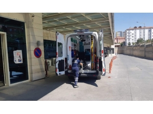 Siirt’te Ağaçtan Düşen Şahıs Yaralandı