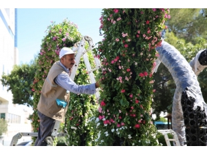 Haliliye’de Parklar Peyzajla Süsleniyor