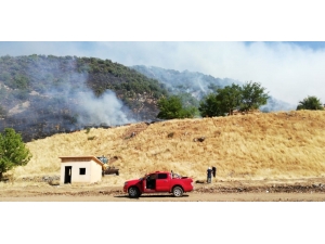Bingöl’de Orman Yangını Söndürüldü